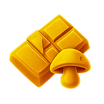 Mushroom Extract Chocolate