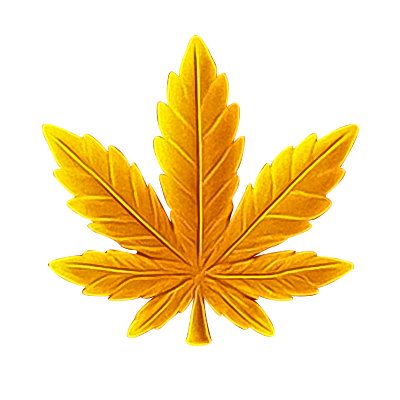 Exotics Flower