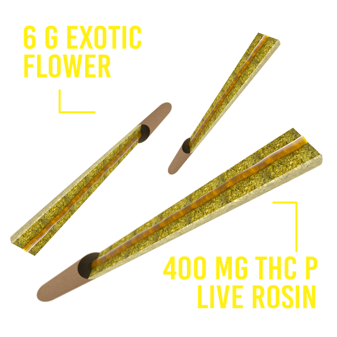 🔥 Triple the Rolls. Triple the Mayhem.