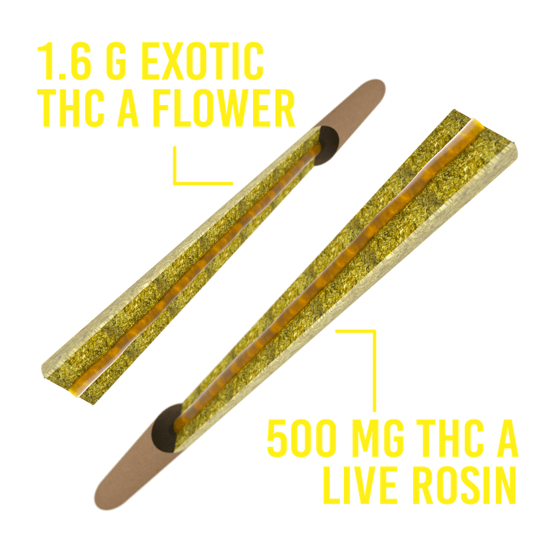 BEST HITTING Donut PreRolls On the Market